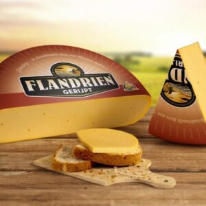 Belegen flandrien