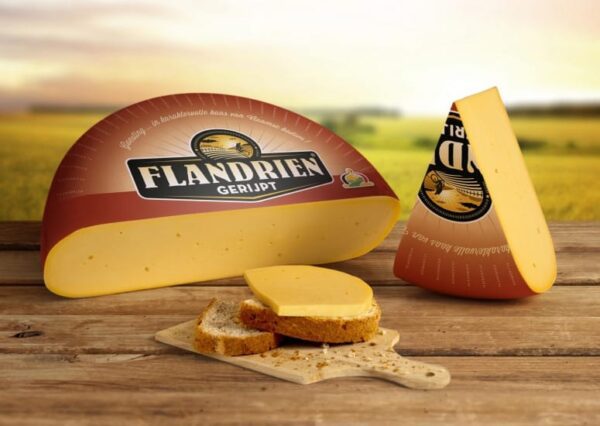 Belegen flandrien